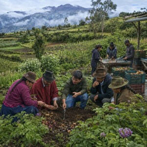 Producción Sostenible